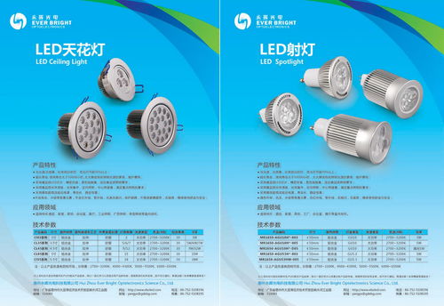 惠州永暉光電節(jié)能燈 產(chǎn)品畫冊 攝影設(shè)計 東莞比高品牌設(shè)計創(chuàng)意公司 代表作品 東莞標志設(shè)計 東莞畫冊設(shè)計目錄 東莞品牌形象 東莞攝影公司 東莞vi設(shè)計 東莞logo設(shè)計